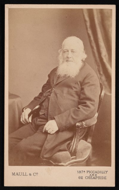 Porträtt av John Gould 1804-1881, före 1875. av Maull and Co