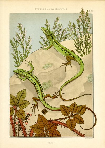 Naturalistiskt ödlemotiv i jugendstil (litografi) av Maurice Pillard Verneuil