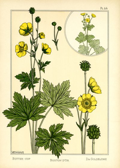 Smörblomman (färg litho) av Maurice Pillard Verneuil