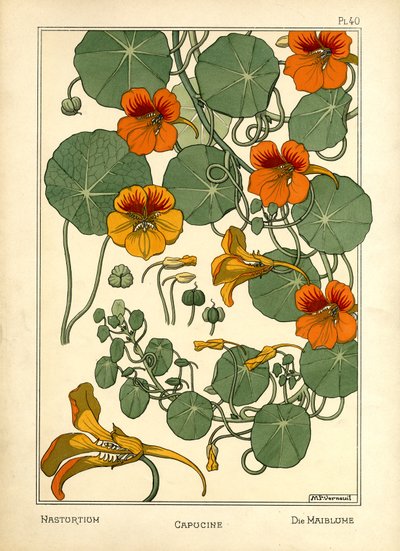 Nasturtium (färg litho) av Maurice Pillard Verneuil