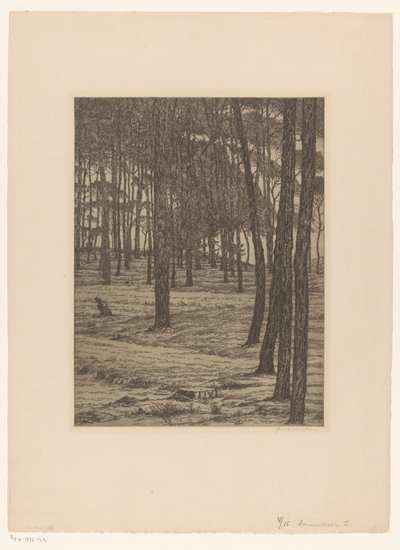 Dennenbosch I (originaltitel på objekt) Bos (originaltitel) av Maurits van der Valk (signed by artist)