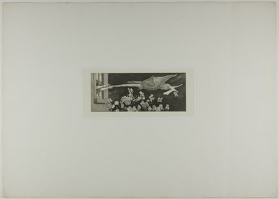 Abduction, platta nio från A Glove av Max Klinger