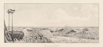 Homage Homage, 18781880. av Max Klinger