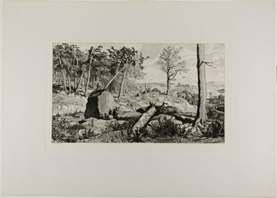 Simplicius in the Solitude of the Forest, tallrik tio från Intermezzos av Max Klinger