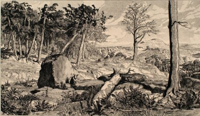 Simplicius i skogens ensamhet av Max Klinger