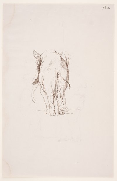 "Weg der Befleckung" - "Elefant och sniffande hund" av Max Klinger