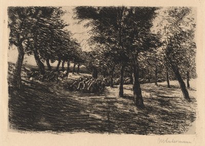 Flock av får under träd av Max Liebermann