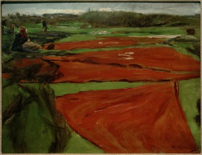 Äng med spridda nät och segel av Max Liebermann