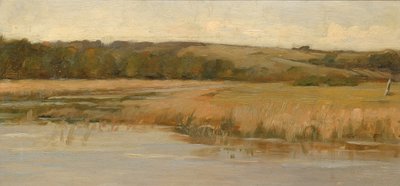 Hill and Marshland, sent 1800-tidigt 1900-tal. av Max Weyl