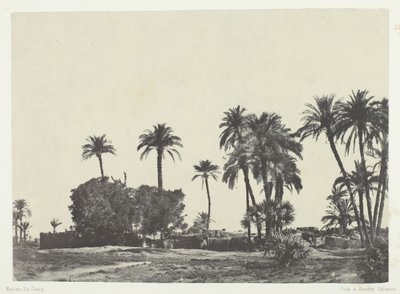 Byn Hamameh, övre Egypten, 184951, tryckt 1852. av Maxime Du Camp