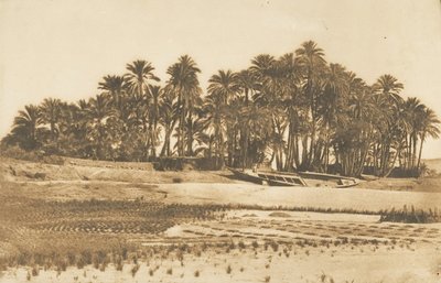 Utsikt över Elephantine Island, mitt emot Aswan, 1849-50. av Maxime Du Camp