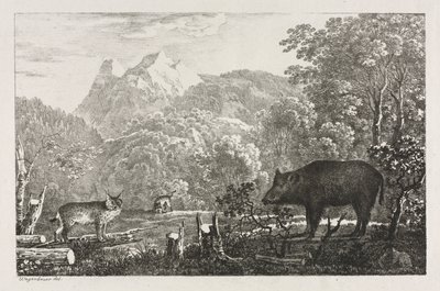 Vildsvin, vildkatt och lodjur av Maximilian Josef Wagenbauer