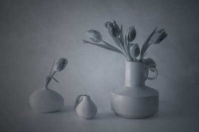 Stämningsfullt stilleben med tulpaner av May G