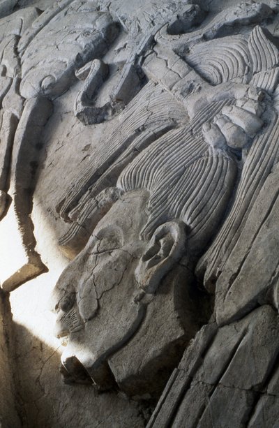 Relief på en pyramid, sen klassisk period (600-900 e.Kr.) (stuckatur) av Mayan