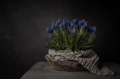 Rustika blå blommor av Mayra Pama