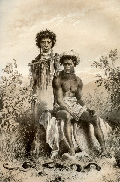 Maorier och mattorm, Nya Zeeland, 1879 av McFarlane and Erskine