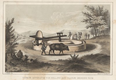Kinesisk apparat för skrovning och grovmalning av ris, 1855 av Meffert