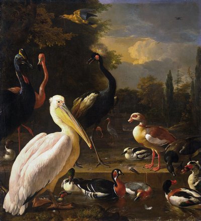 En pelikan och andra fåglar vid en bassäng, känd som "Den flytande fjädern av Melchior d
