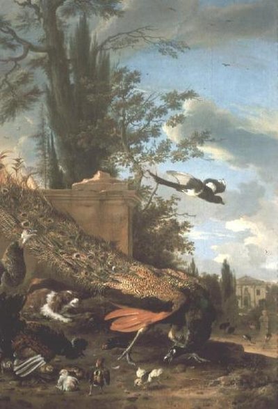 En påfågel och en spaniel i trädgården i en villa av Melchior de Hondecoeter