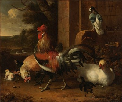 En hönsgård, ca 1660-1665 (olja på duk) av Melchior de Hondecoeter