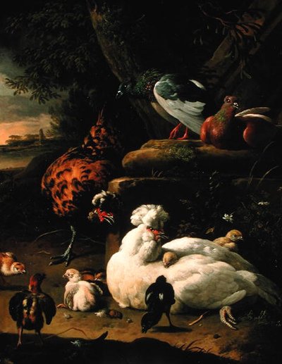 En höna med kycklingar, en tupp och duvor i ett landskap (olja på duk) av Melchior de Hondecoeter