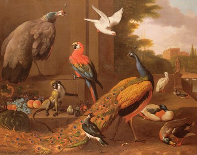 Fåglar i ett landskap av Melchior de Hondecoeter