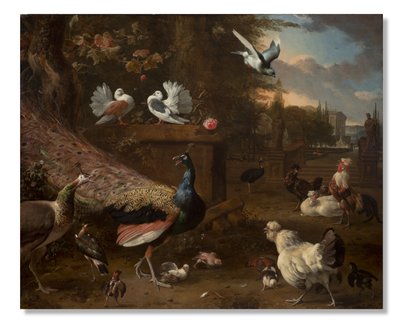 Menageri, c.1680 av Melchior de Hondecoeter