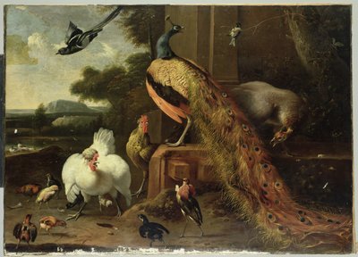 Uppror i fjäderfäkuppen av Melchior de Hondecoeter