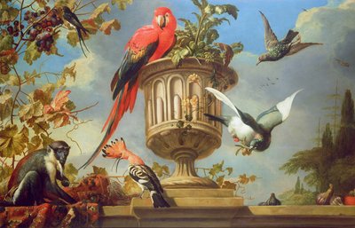 Scarlet Ara uppflugen på en urna, med andra fåglar och en apa som äter druvor av Melchior de Hondecoeter