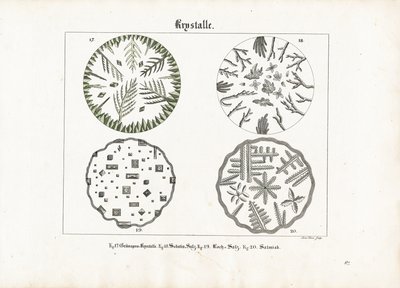 Kristallformer av olika salter av Meno Haas