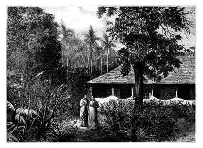 Holländskt hus i Ternate, Indonesien, 1800-talet. av Mesples