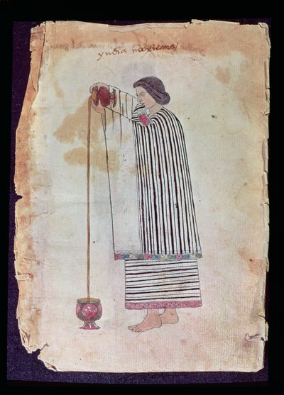 Mexikansk indian förbereder choklad, från Codex Tuleda, 1553 av Mexican School