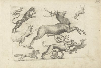 Studieblad med ritningsexempel: olika djur av Michael Snijders (attributed to)