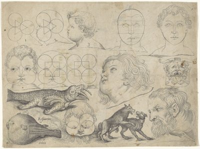 Studieblad med ritningsexempel: figurer, djur Ritningsexempel (serietitel) av Michael Snijders