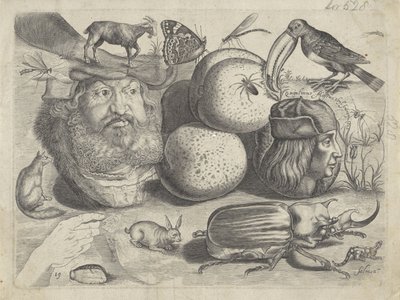 Studieblad med ritningsexempel: porträtt, djur, insekter Ritningsexempel (serietitel) av Michael Snijders