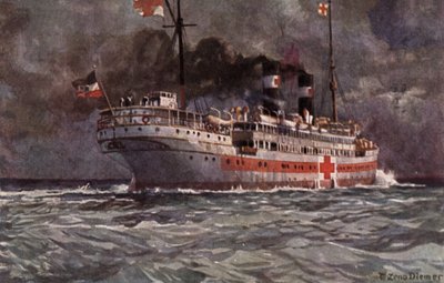 German hospital ship, World War I  av Michael Zeno Diemer