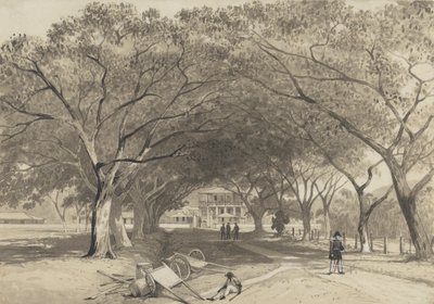 Avenue och ingången till St. James Barracks av Michel Jean Cazabon