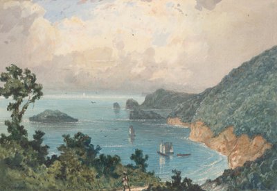 Norra kusten av Trinidad, från North Post av Michel Jean Cazabon