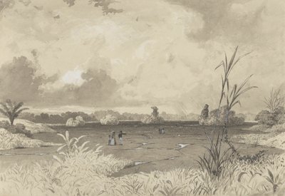 Pitch Lake av Michel Jean Cazabon