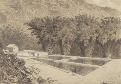 Reservoaren vid Maraval av Michel Jean Cazabon