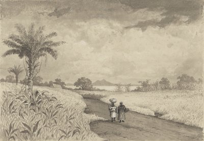 swedish av Michel Jean Cazabon