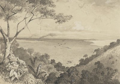 Utsikt från Laventille Hill av Michel Jean Cazabon