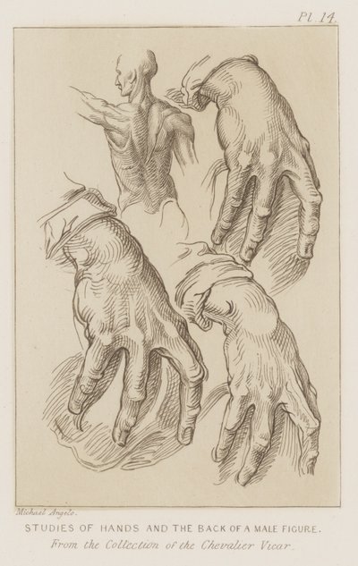 Studier av händer och baksidan av en mansfigur (etsning) av Michelangelo (after) Buonarroti