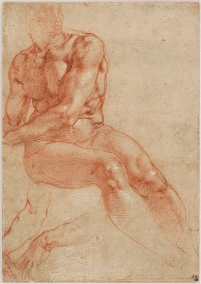 Sittande ung manlig nakenbild och två armstudier (recto), ca 1510-11 av Michelangelo