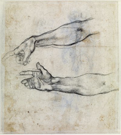 "Arm detalj" av Michelangelo Buonarroti
