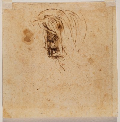Kvinnligt huvud av Michelangelo Buonarroti