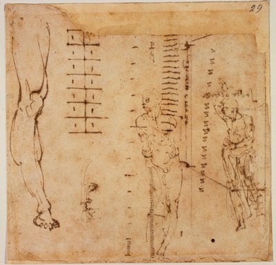Figurstudier av Michelangelo Buonarroti