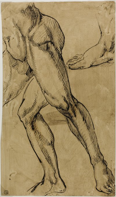 Ben och fötter av manlig naken av Michelangelo Buonarroti
