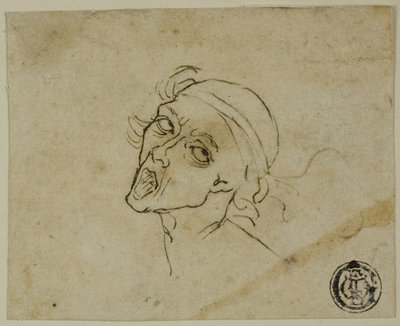 Manligt huvud av Michelangelo Buonarroti