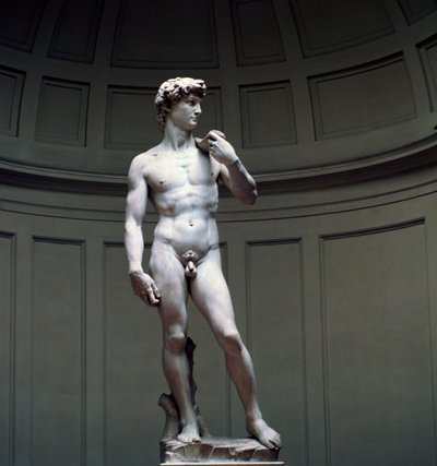Michelangelos David, 1500-talet av Michelangelo Buonarroti